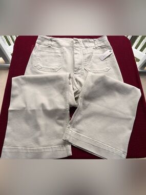 wide leg pants Anthropologie Size 32 new